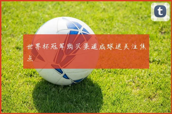世界杯冠军购买渠道成球迷关注焦点